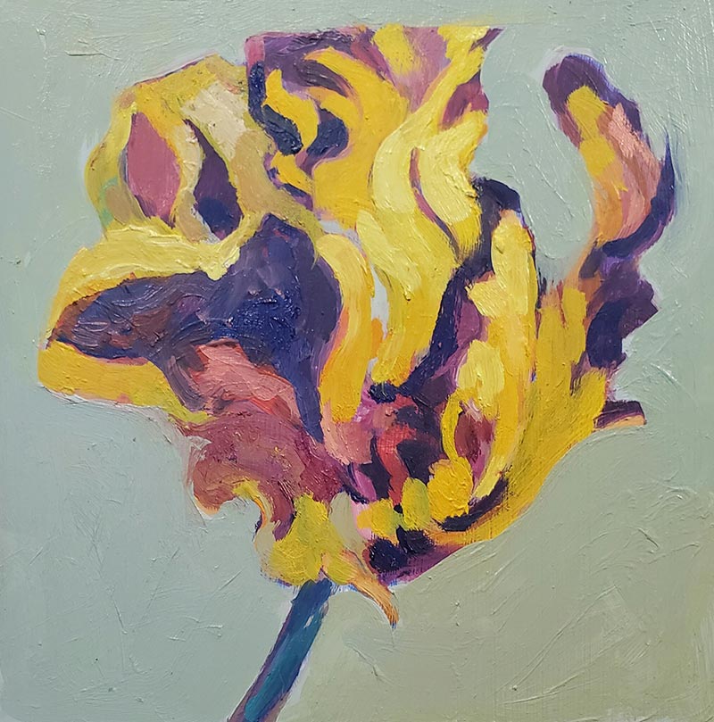 Yellow Rembrandt Tulip III - 6" x 6"